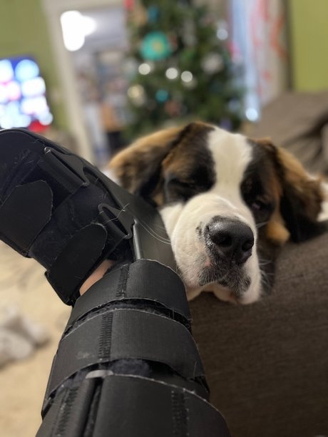 Nhdixiedanyell porn star gallery