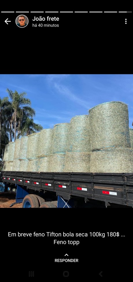 Tania Alvez xxx star img