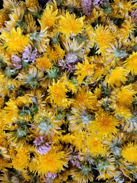 Topless talks with Mel sex actress photos