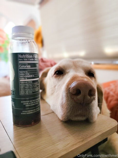 Topless talks with Mel porn star photos