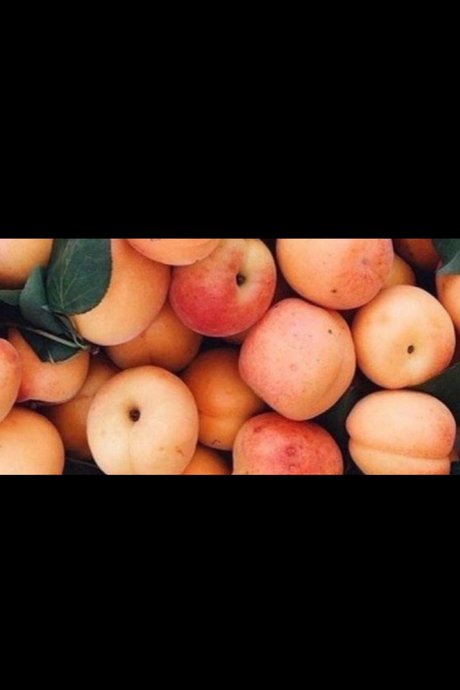 Aden top actress gallery