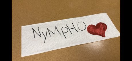 Y0ung Nympho nude star photo