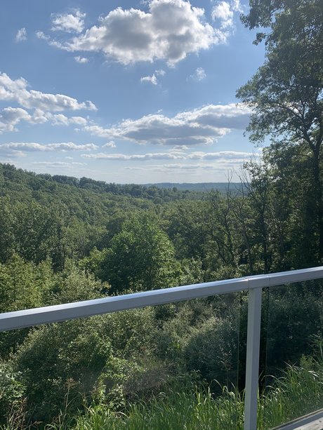 BlkZard star erotic pics