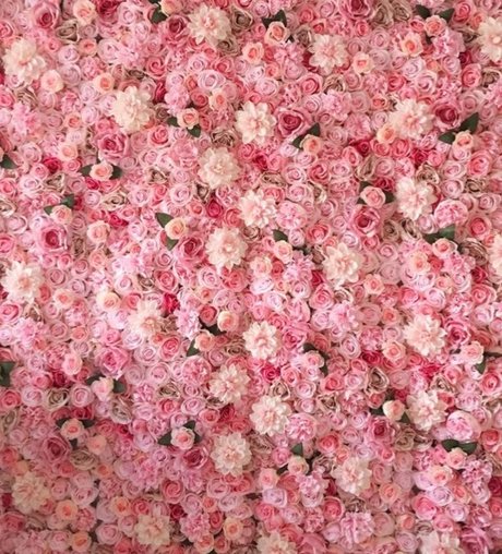 F4Y nude pornstar picture