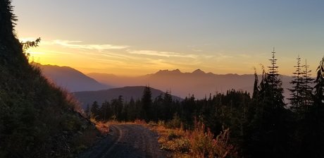 Shotgun Jenny nudes pornstar pic