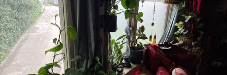 Poisoning Ivy high quality pornstar picture