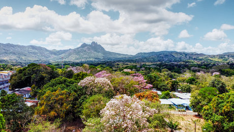 Thady hd star pictures