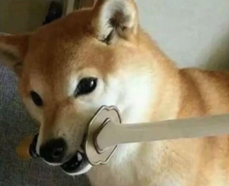 Diddy pup star erotic photos