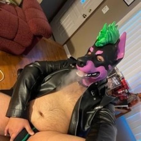 Izzy T AKA Pup Silo pornographic star photo