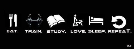 u7839597 exclusive pornstar archive