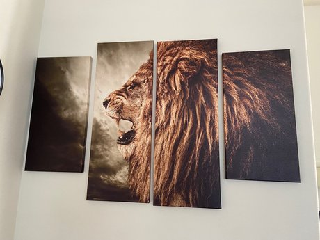 Skittles9993 star porn image