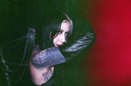 Batty Daddy Letharia star art galleries