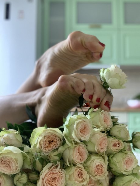 Pointe Queen actress galleries