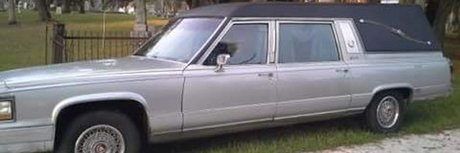 Dan Deadly beautiful star images