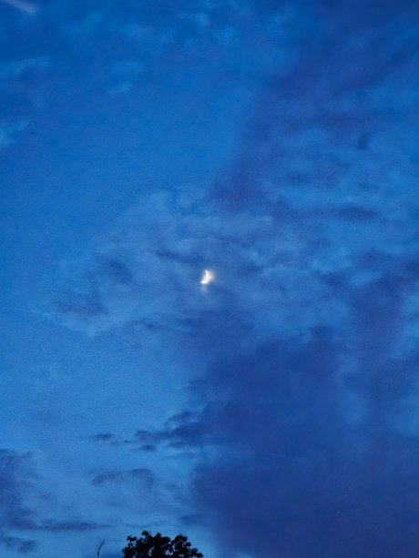 DarkPhoenixRises model sexy image