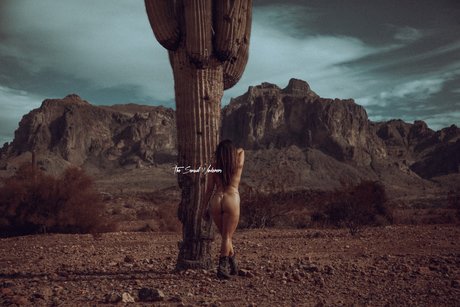 Mrs Wanderer Free star pretty image