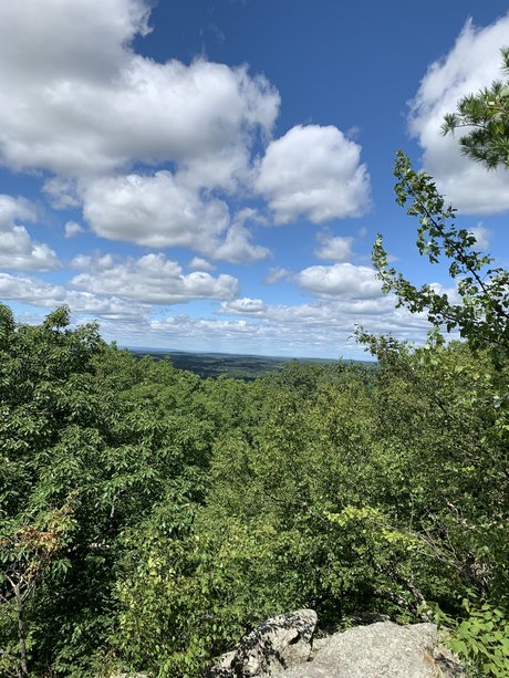 Bones_ pornstar sex photo