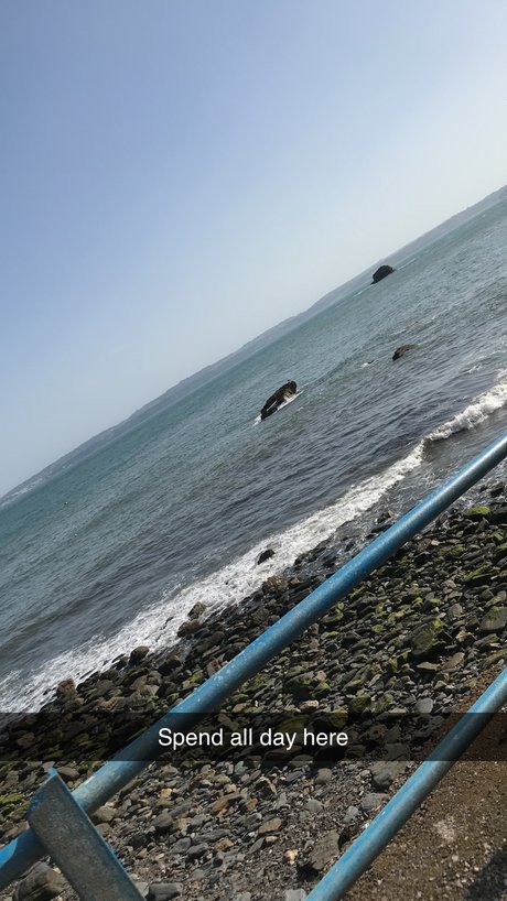 TailoredTaylor hd model galleries