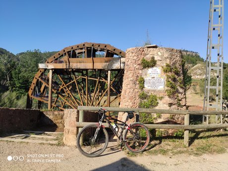 Gori art actress img