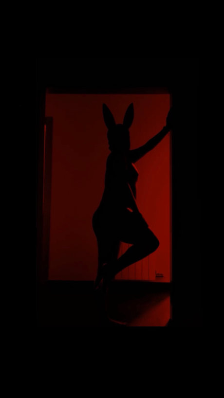 Nikki VIP top star galleries