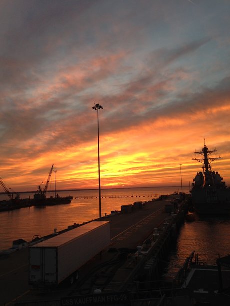 Tattooedsaylor model pretty image