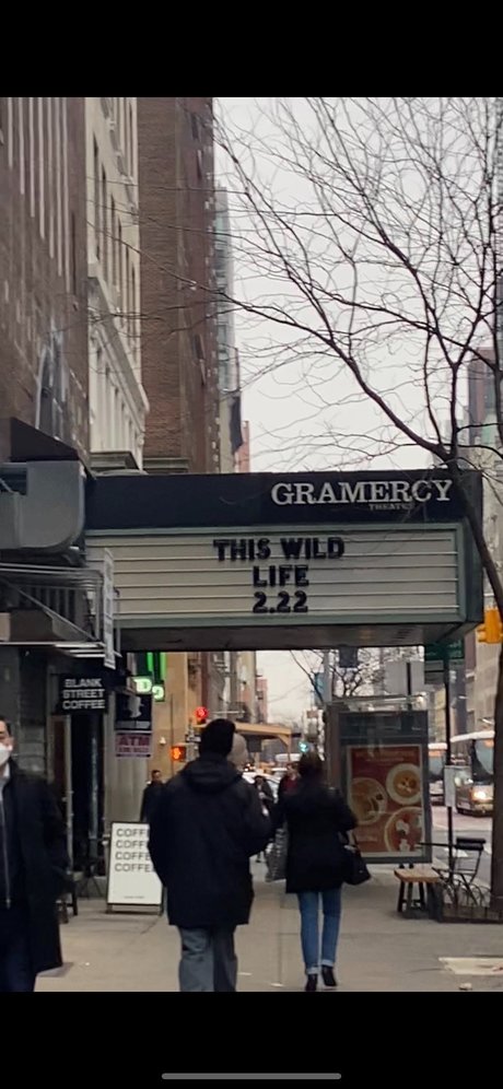 Zara Vo model hot pics