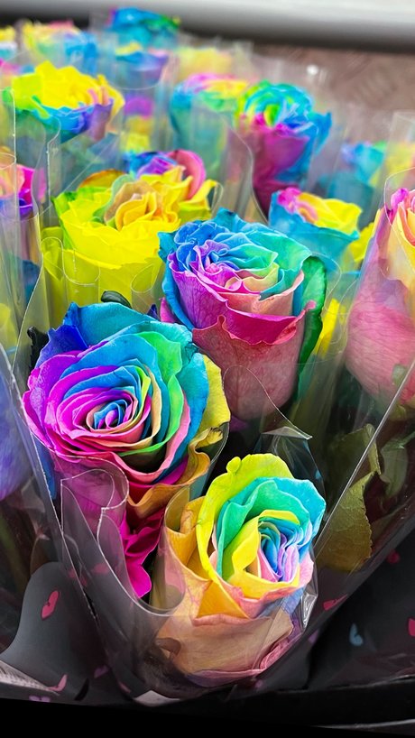 Kirstie star xxx picture