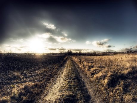 Oswaldo Gutierrez exclusive pornstar picture