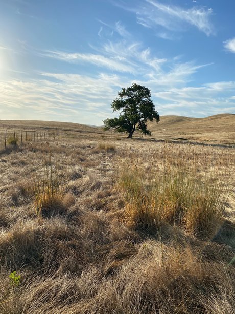 Jerrad greenick adult actress images