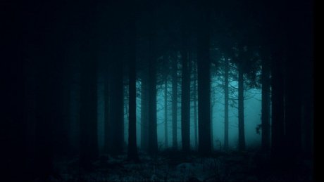 Konrad VPC model high quality archive