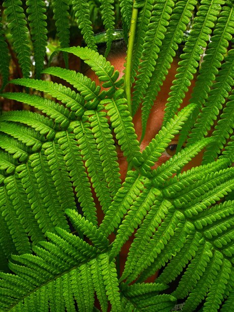 TToes art actress picture