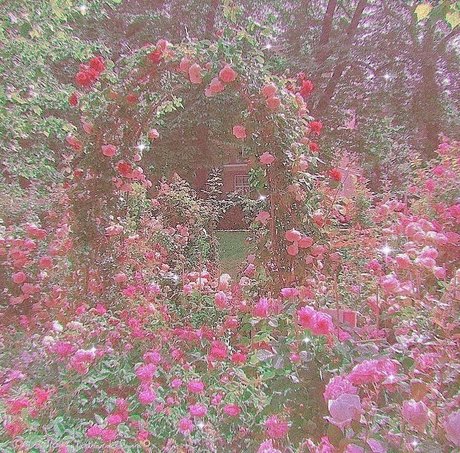 Goddess Miki model exclusive gallery