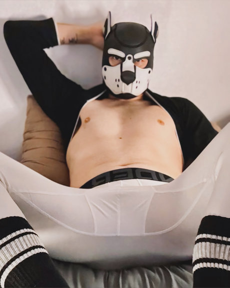 Pup Scott pornstar adult image
