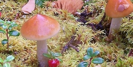 aurora jade sexy actress pictures