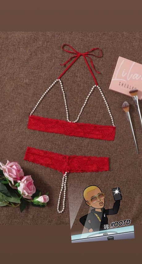 Sea mammal exclusive pornstar gallery