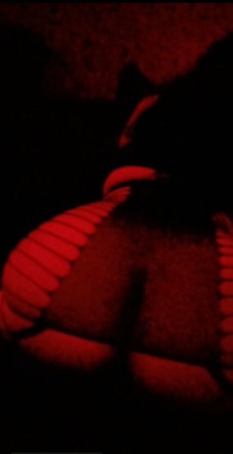 Cella_ free actress pics