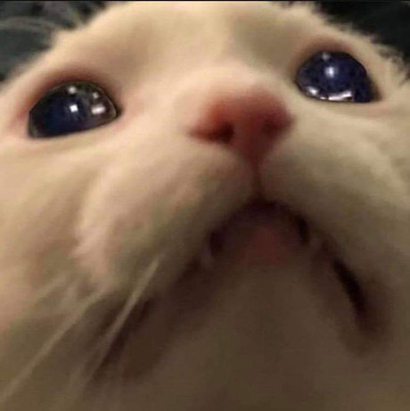 Sam Salemm pretty model photos