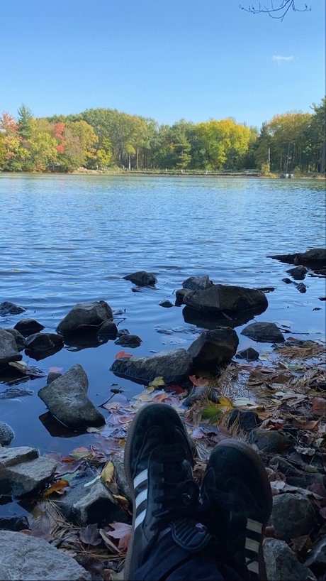 Ava Monroe pornstar top image