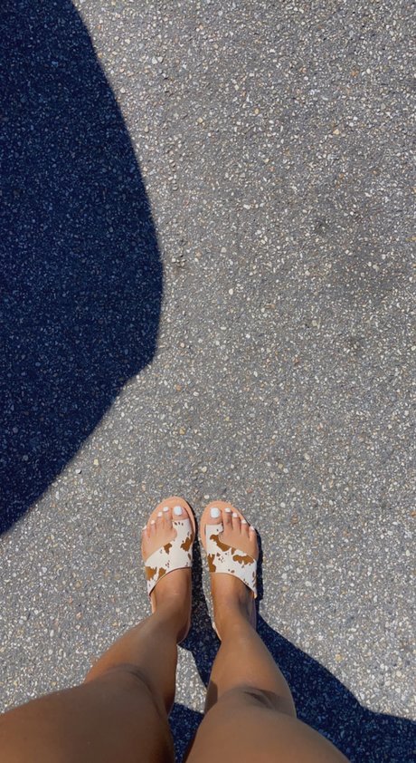 southernbelles nice star galleries