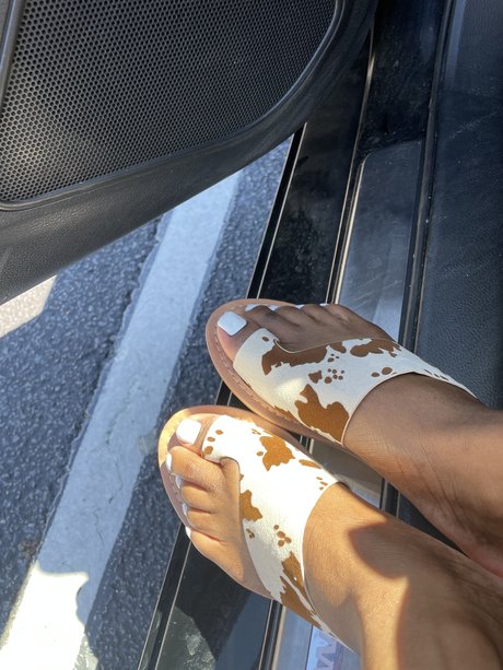 southernbelles adult actress photos