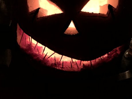 NoahDyck pornstar perfect photo