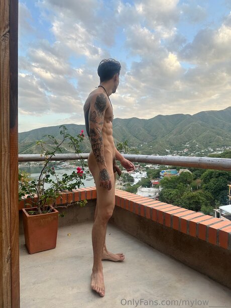 MilO high quality star photo