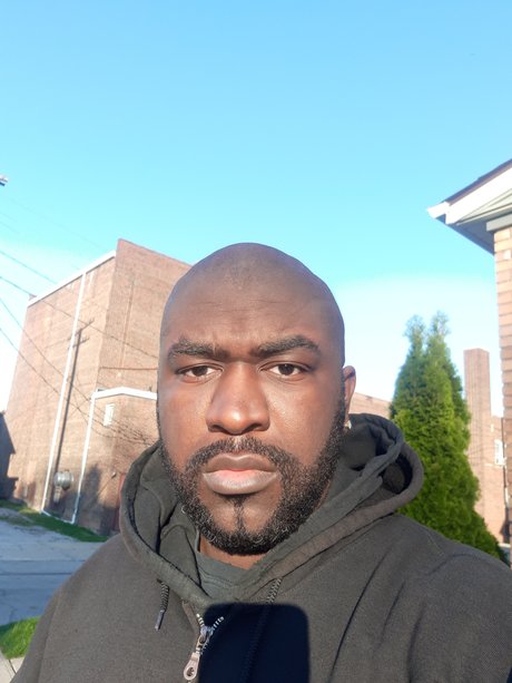 THE1TLB high quality actress gallery