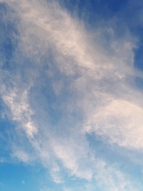 Mauricio Davila actress img