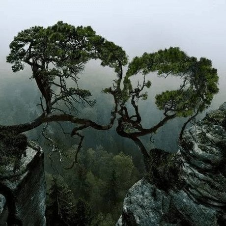 Ariah VPC pornstar pretty pic