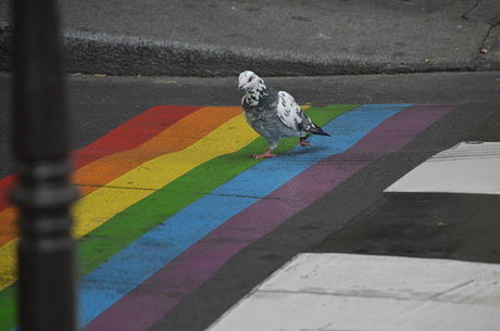 KAMCM93 art star img