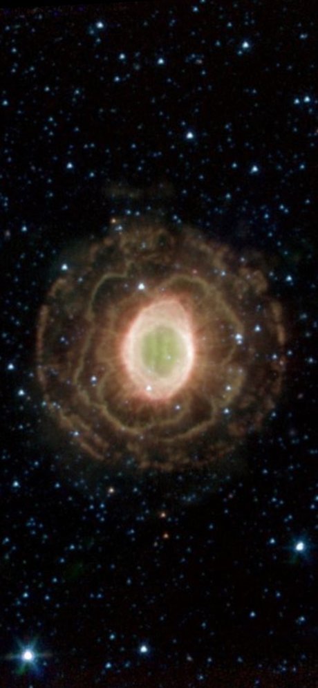 chii pornstar nudes img