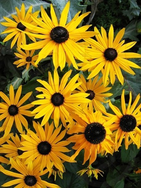 Feetship exclusive actress pics