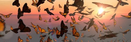 Odezza Dior_ sex model pics