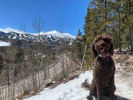 Bumper Ann star sex archive